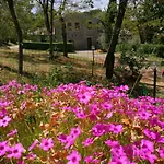 Il Cornalino 팜스테이 Castel Viscardo