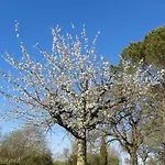 Agriturismo Il Cornalino Farma Castel Viscardo