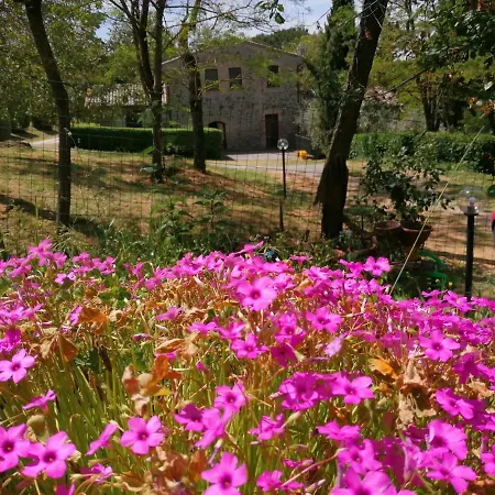 Il Cornalino Farm stay Castel Viscardo
