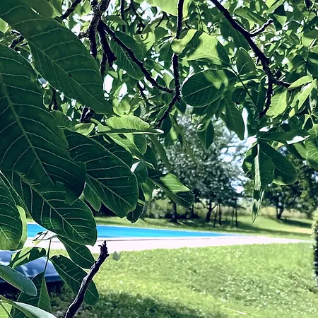 팜스테이 Il Cornalino Castel Viscardo