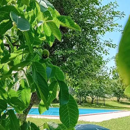 Farma Agriturismo Il Cornalino Castel Viscardo