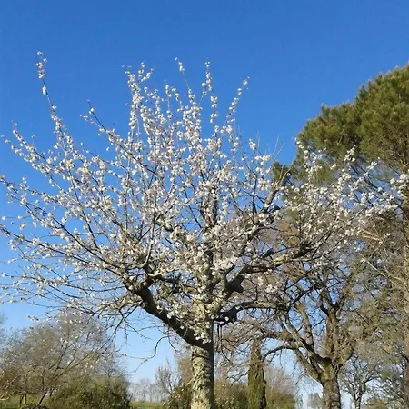 Il Cornalino 팜스테이 Castel Viscardo