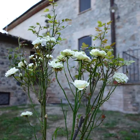 Il Cornalino 팜스테이 Castel Viscardo