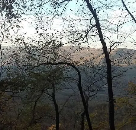 팜스테이 Il Cornalino *