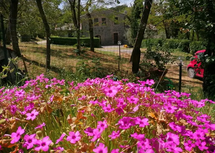 Agriturismo Il Cornalino Farma Castel Viscardo