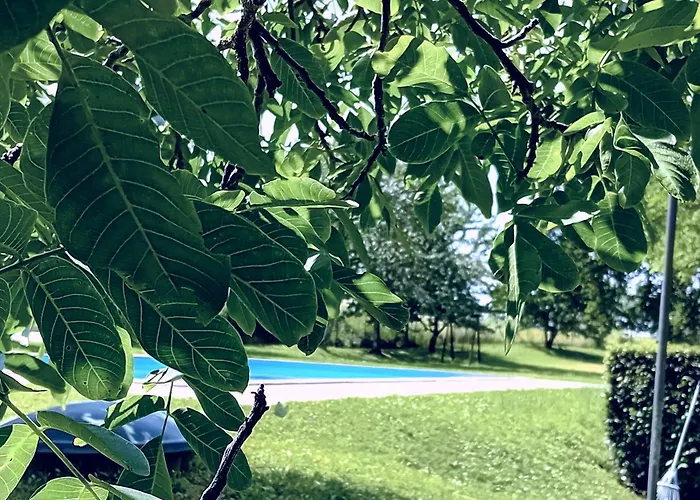 Alloggio per agriturismo Il Cornalino Castel Viscardo