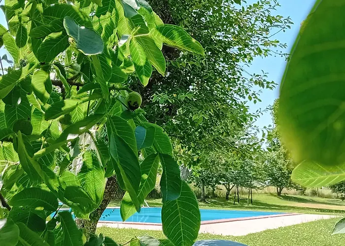 Farma Agriturismo Il Cornalino Castel Viscardo