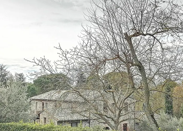 Farma Agriturismo Il Cornalino *