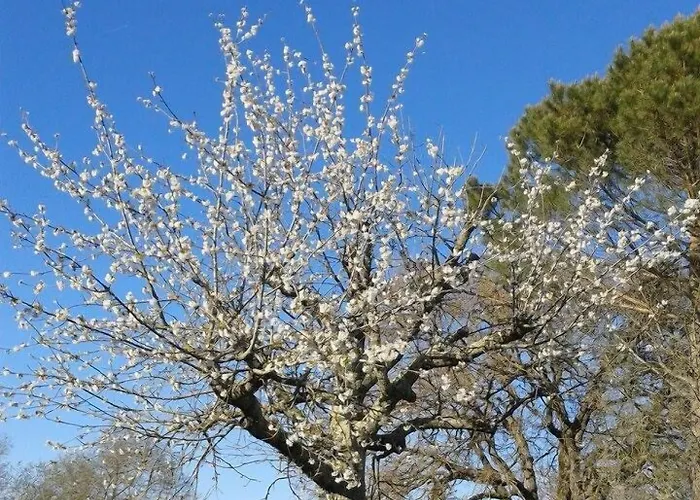 Il Cornalino Alloggio per agriturismo Castel Viscardo
