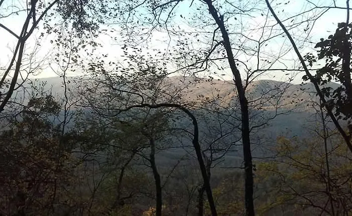 Alloggio per agriturismo Il Cornalino *